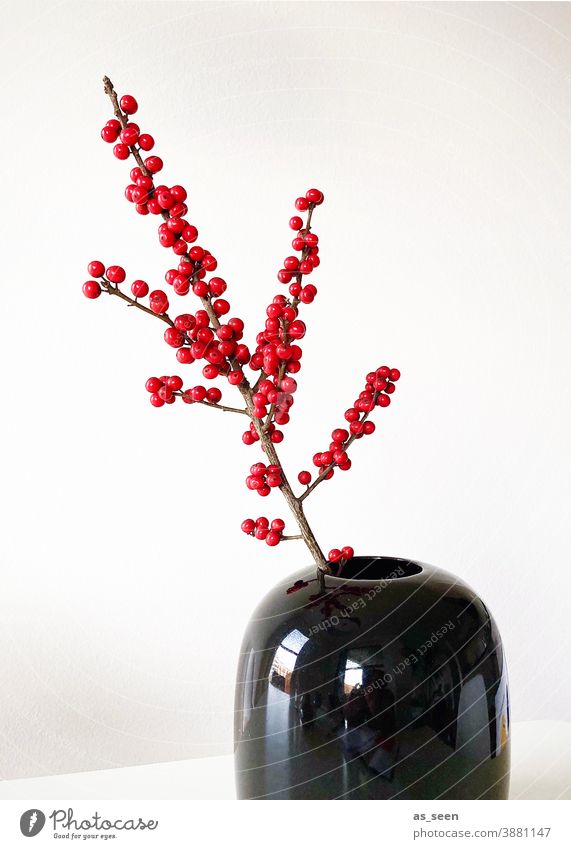 Ilex Zweig rot schwarz glänzend Beeren Dekoration Floristik japan japanisch minimalistisch Textfreiraum links Dekoration & Verzierung Pflanze Farbfoto Natur