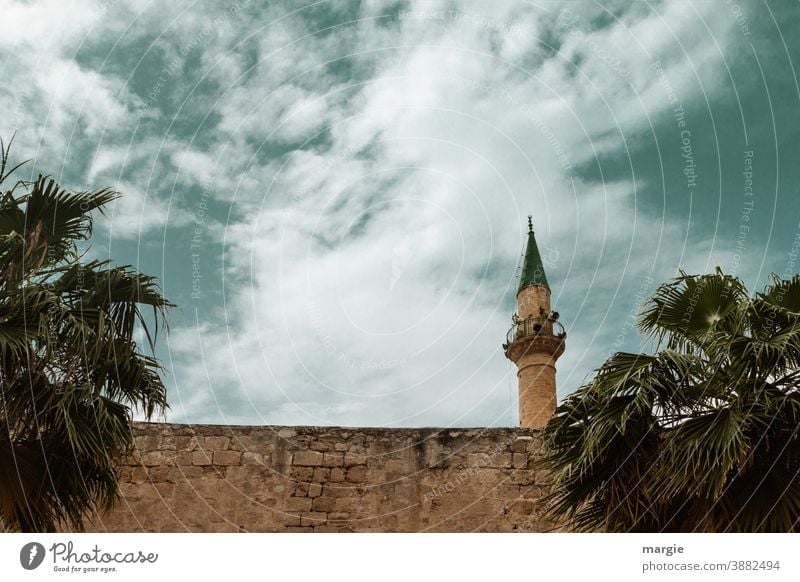 Moschee - Minarett eingerahmt von Palmen Israel Islam Christentum Moslem Gläubige Religion & Glaube Außenaufnahme Sehenswürdigkeit Ferien & Urlaub & Reisen