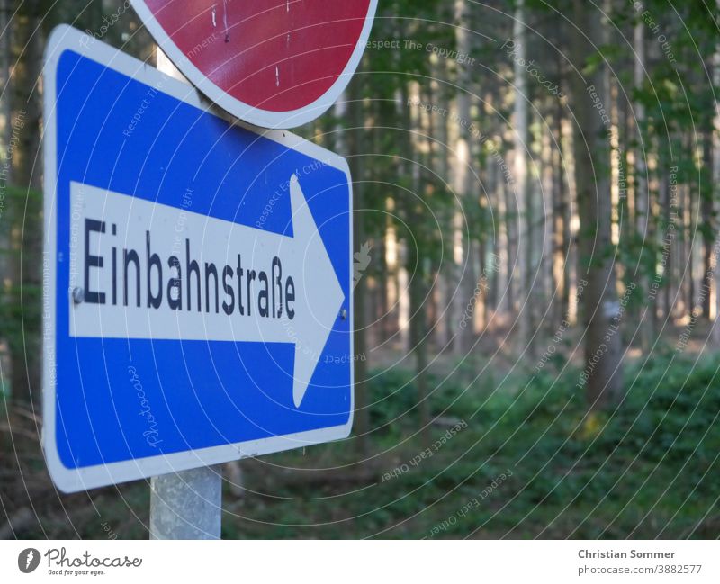 Schilderwald im Wald Schilder & Markierungen Wegweiser Bäume Hinweisschilder Einbahnstraße Ironie Humor Verkehrszeichen Natur Naturliebe Pfad Straße Leben