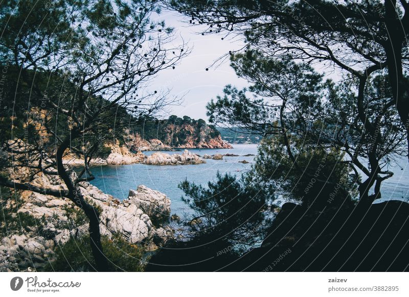 Landschaft einer Steilküste umrahmt von einigen Baumsilhouetten Costa Brava calella de palafrugell Palamos Ansichten MEER Wasser mediterran Katalonien Bäume