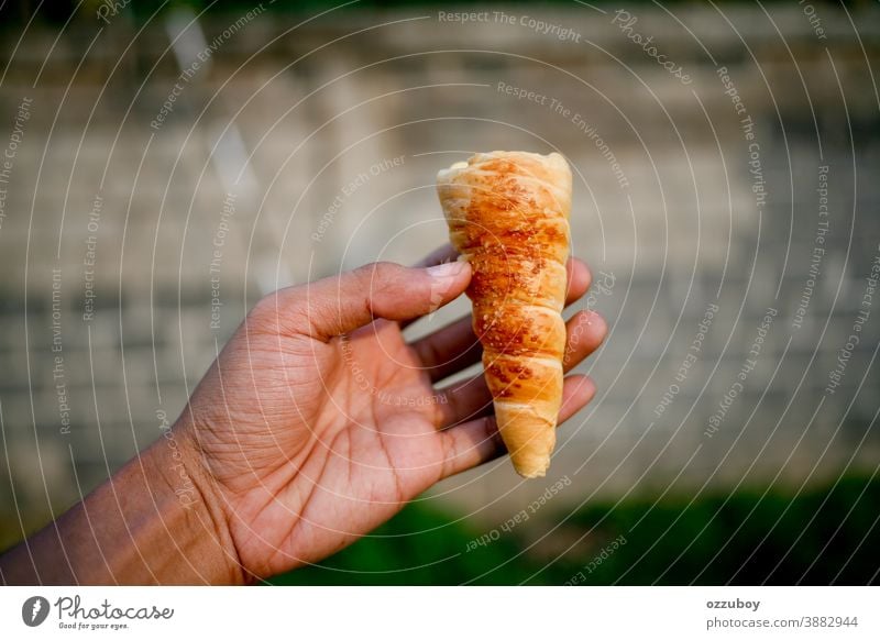 Hand in der Nähe, Brot haltend Person Lebensmittel Hintergrund Bäckerei Hunger Beteiligung vereinzelt Konzept Gesundheit Nahaufnahme konzeptionell Halt Liebe
