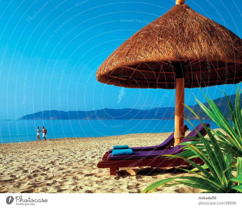 ...davon träumn wir doch alle...! Strand Sonnenschirm grün Zufriedenheit Sand Wasser blau Kania