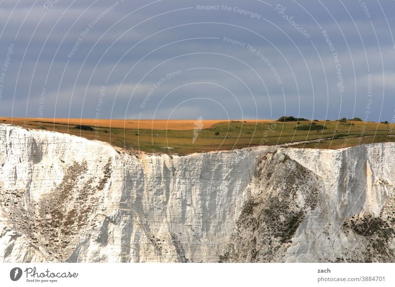 cliffhanger England Dover weiß Sand Klippe Kreidefelsen Sehenswürdigkeit Stein White Cliffs Ärmelkanal Meer Nordsee Gras Hügel Felsen Küste Wasser Landschaft