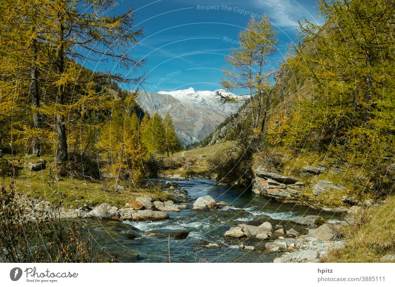 ...und nochmal Herbst im Hochgebirge Bach Berge Bergwald Berge u. Gebirge Natur Farbfoto Wald Alpen Wasser Schönes Wetter wandern
