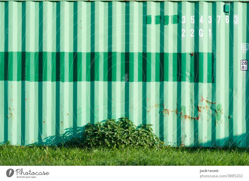 grüner Container im Grünen Streifen Strukturen & Formen Beschriftung Buchstabe Ziffern & Zahlen Wiese Strauch Schramme Rost Schatten Natur Metall