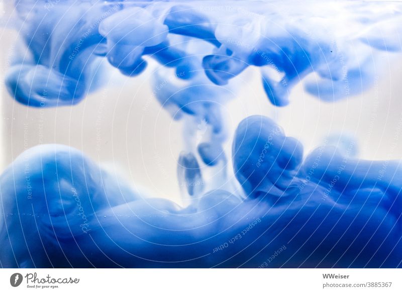 Blaue Farbschlieren breiten sich wolkenartig im Wasser aus blau Farbe dunkelblau Macro tintenblau Wolken abstrakt langsam Kunst Strukturen & Formen Flüssigkeit