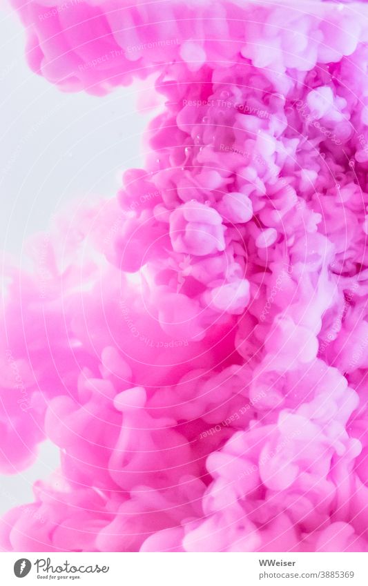 Rosa Farbschlieren breiten sich wolkenartig im Wasser aus rosa Farbe Macro Wolken abstrakt Mädchen weiblich langsam Kunst Strukturen & Formen Flüssigkeit