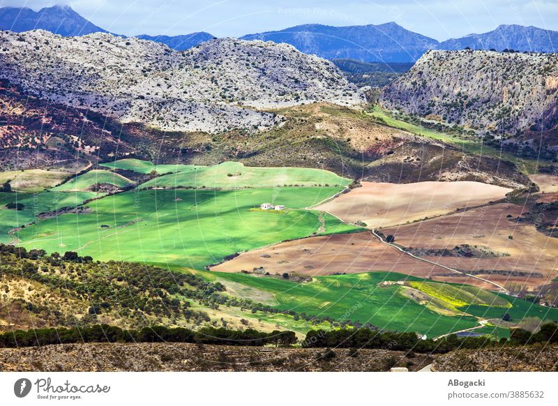 Andalusiens Landschaft in Spanien Ackerbau andalusisch Andalusia schön kultiviert Umwelt Europa Bauernhof Ackerland Feld Laubwerk Grasland grün Grün Hügel
