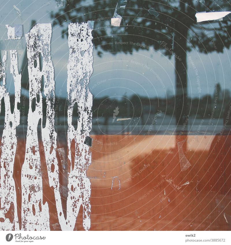 Abgeschnitten Reflexion & Spiegelung Schaufenster Straßenszene Alltagsfotografie Baum Klebereste Papier Fetzen Himmel Sonnenlicht Schatten Textfreiraum unten