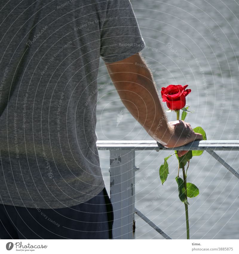 Farbkomposition | Erkennungszeichen mann rücken rose geländer fluss wasser stehen halten romantik einsamkeit verabredung warten rückansicht T-Shirt grau rot