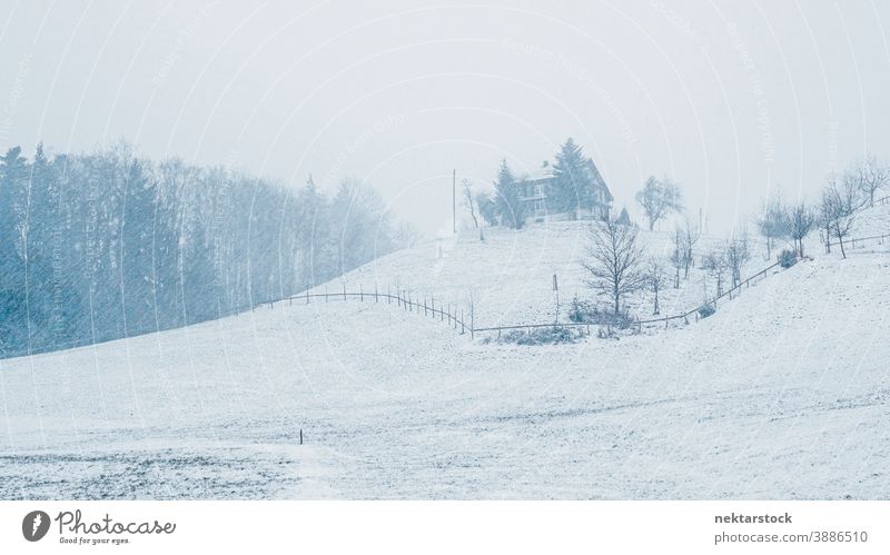 Haus auf dem Hügel im Winterschneesturm Schnee Schneesturm Landschaft Cottage Baum Kiefer Totale Breitbild im Freien weiß Saison Wetter Extremwetter malerisch
