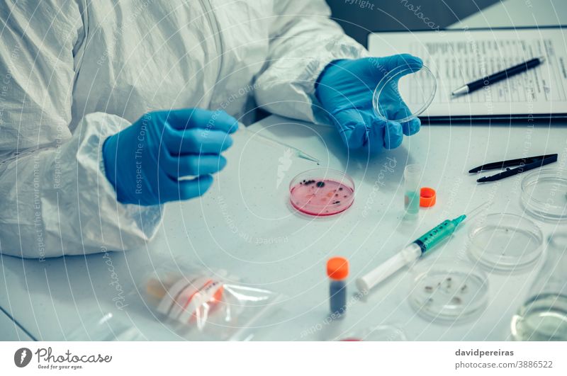 Wissenschaftlerin mit Petrischale im Labor Draufsicht Laborschale Coronavirus Erkundung Virus Tropfen Tropfer Prüfung covid-19 bakteriologische Schutzanzüge