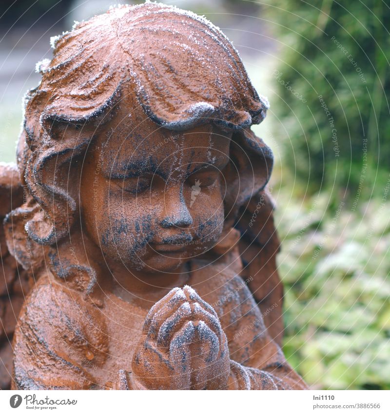 Engel aus Stein zu sehen sind Kopf und betende Hände leicht mit Raureif überzogen Figur Engelfigur wetterfest Gesicht betende hände Symbole andächtig Winter