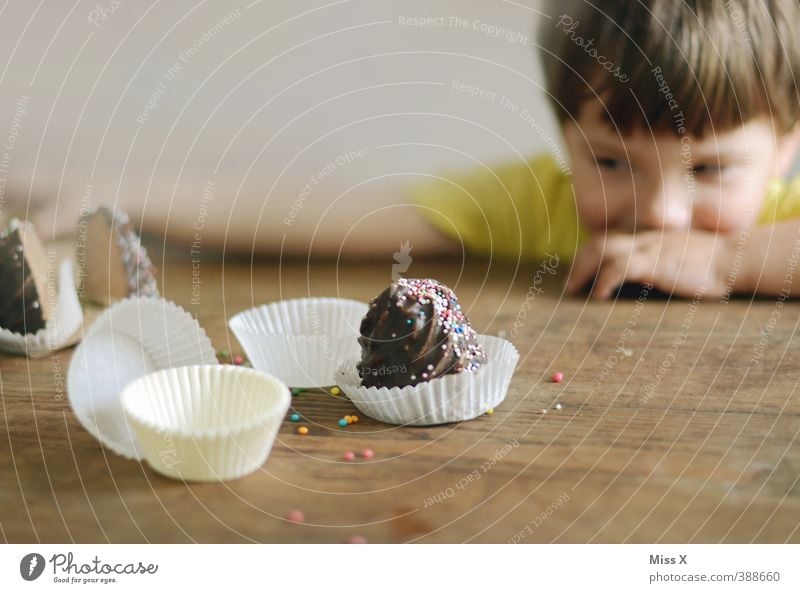 Hunger Lebensmittel Teigwaren Backwaren Dessert Süßwaren Schokolade Ernährung Essen Mensch Kind Kleinkind Kopf 1 1-3 Jahre 3-8 Jahre Kindheit lecker listig