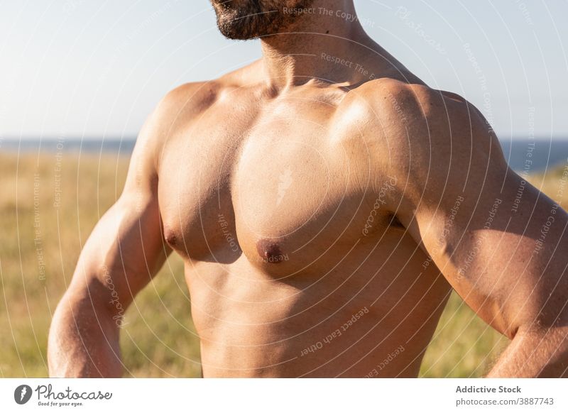 Shirtless starken Mann auf Wiese im Sommer ohne Hemd Muskel Bodybuilder nackter Torso Sportler Athlet Hügel grasbewachsen Bestimmen Sie Natur Sportbekleidung