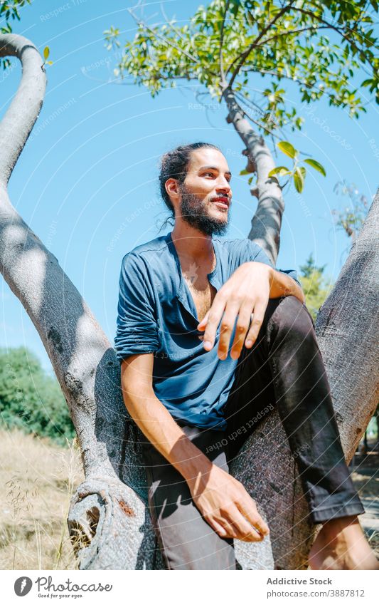 Ethnischer Mann ruhend auf Baum in der Natur Hippie Wald sich[Akk] entspannen sorgenfrei Freiheit sonnig Sommer männlich ethnisch Kofferraum sitzen tagsüber