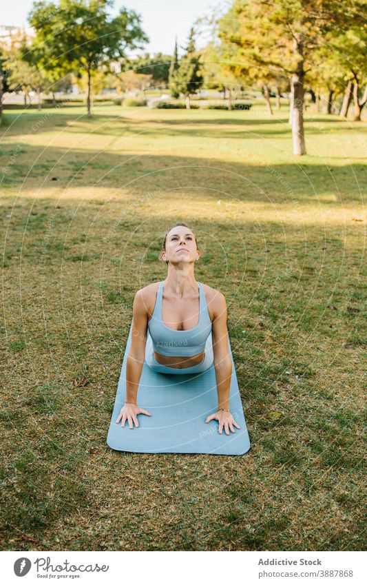 Frau tut Cobra Yoga-Pose im Park Kobra Stachel bhujangasana Backend Asana üben Wellness Lifestyle Harmonie Wohlbefinden Zen Gesundheitswesen Fokus Anmut