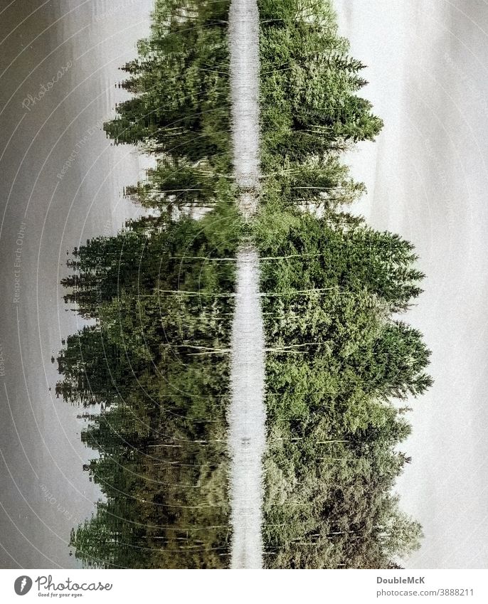 Spieglein, Spieglein - Bäume, die sich im Wasser spiegeln, experimentell See Spiegelung Spiegelbild Spiegelung im Wasser Reflexion & Spiegelung Natur
