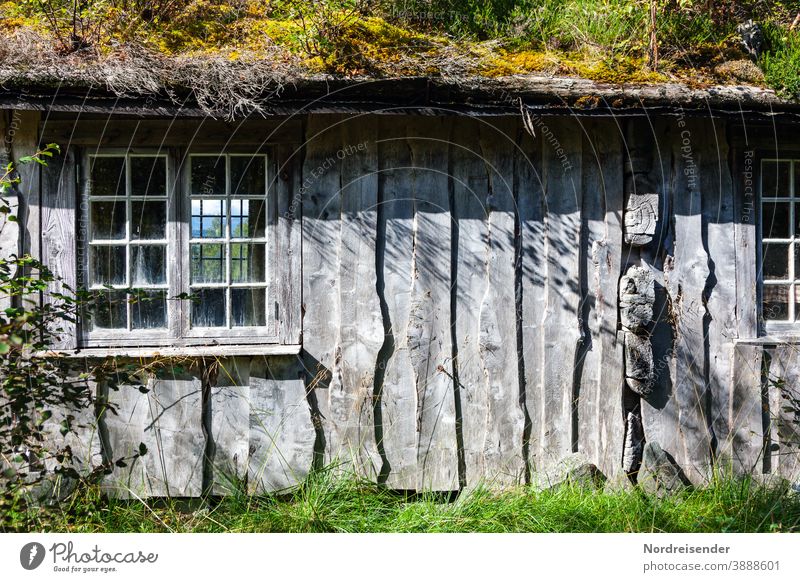 Gemütliches Holzhaus in der Wildnis von Norwegen Kontrast Menschenleer Tag Licht Schatten Außenaufnahme Farbfoto Leben ökologisch nachhaltig Kreativität