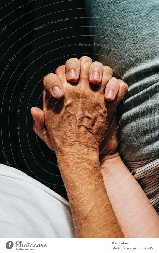 Nahaufnahme einer alten Hand, die eine junge Hand ergreift, auf filmischen Tönen Unterstützung Gemeinschaft Frauen Freundschaft Großeltern Händchenhalten