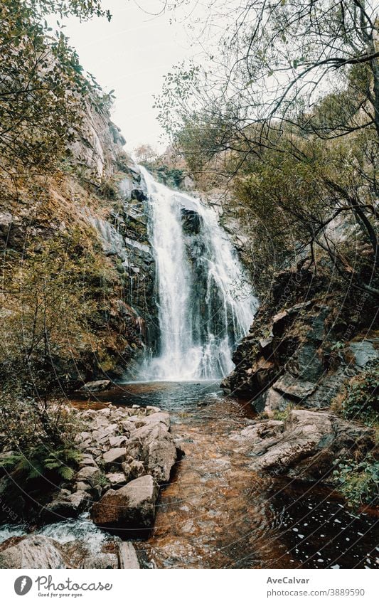Bunte Aufnahme eines massiven Wasserfalls im Wald Natur Baum Western Gelassenheit Landschaft natürlich friedlich Laubwerk fallen Kaskade national