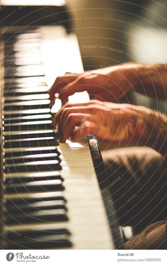Übung macht den Meister - Mann spielt Klavier Klavier spielen Musik Hände übung macht den meister Erfolg ehrgeizig diszipliniert Pianist Musiker Talent üben