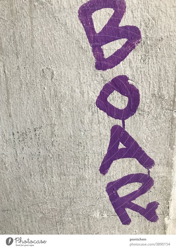 Graffiti- Boar steht in lila auf einer Wand.Begeisterung boar begeisterung illegal jugendkultur schmiererei Schriftzeichen Jugendkultur Wort Mauer Subkultur