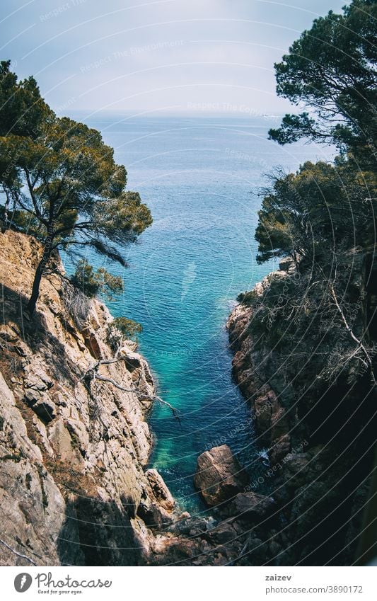 kleine bucht mit kristallklarem wasser an der costa brava, katalonien, spanien Costa Brava calella de palafrugell llafranc tamariu Katalonien Spanien