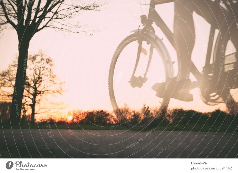 bei Sonnenuntergang unterwegs mit dem Rad Fahrradfahren Straße Mann stimmungsvoll Geschwindigkeit Wege & Pfade Natur radfahrer