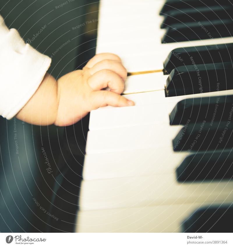 Kind haut in die Tasten Klavier Musik Musikinstrument Baby Kleinkind Kultur musizieren Erziehung Kindererziehung Wohlstand kultiviert Familie Luxus Hand