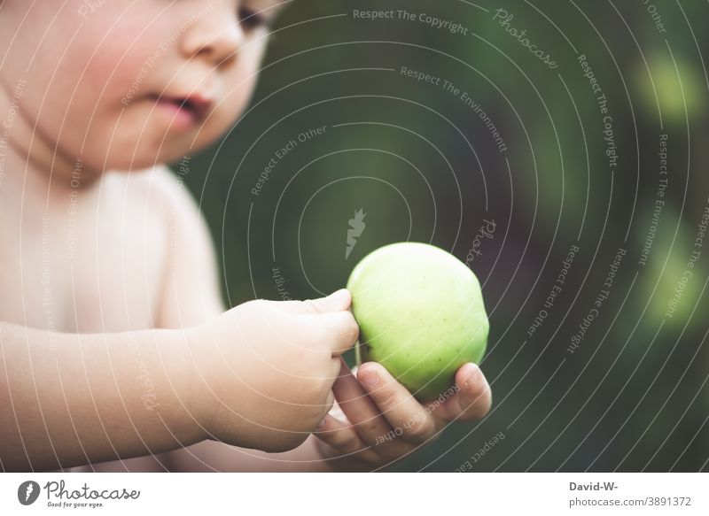 Kind hält einen Apfel in den Händen Gesunde Ernährung Kleinkind erkunden Bioprodukte Frucht lecker Vitamine