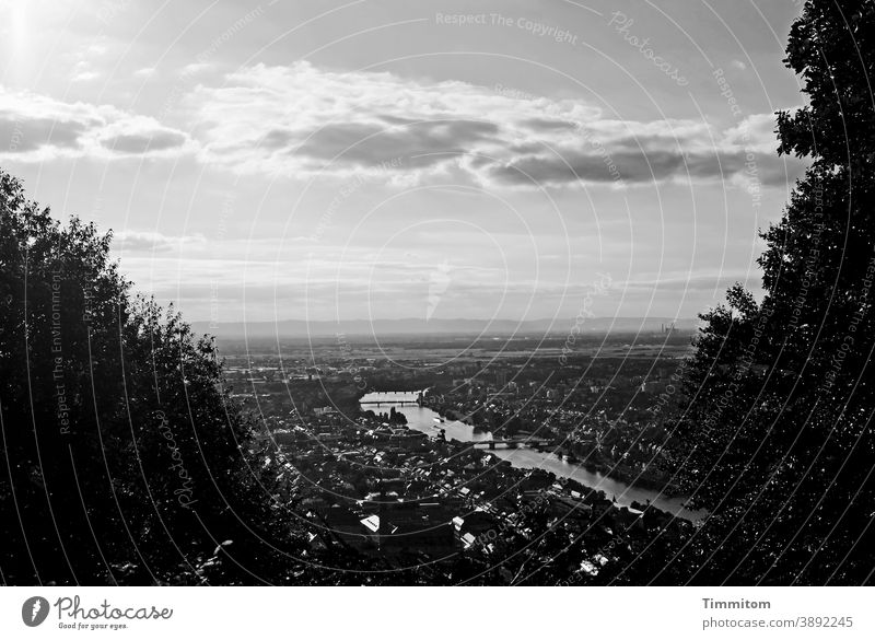 Fotopostkarte von Heidelberg - schwarzweiß Stadt Aussicht Stadtbild Neckar Gebäude Fluss Himmel Wolken Dächer glänzend Bäume Menschenleer
