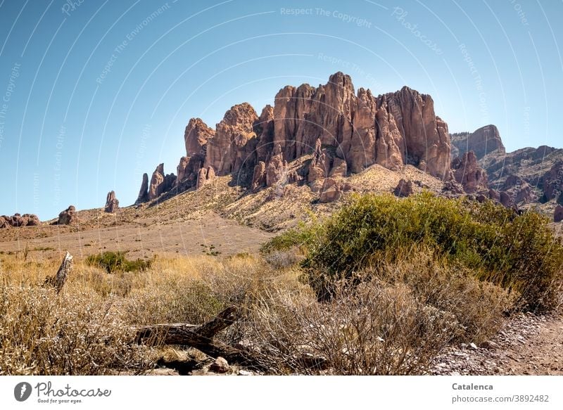 Die Superstition Mountains an einem heißem Tag Natur Landschaft Felsen Wüste Sträucher Steine Himmel trocken Dornbüsche wandern Durst Dürre