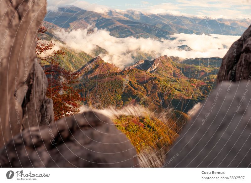 Herbstwald in den Cerna-Bergen, Panoramablick. Hintergrund schön blau Cerna-Gebirge cernei domogled Tal farbenfroh domogled valea cernei fallen Wald Landschaft
