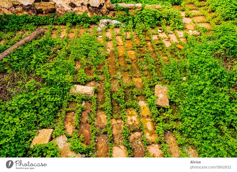 Gras und Ziegel Baustein altehrwürdig Hintergrund Wand Muster Architektur Stein Textur retro grün Natur Design natürlich Konstruktion braun Oberfläche Gebäude
