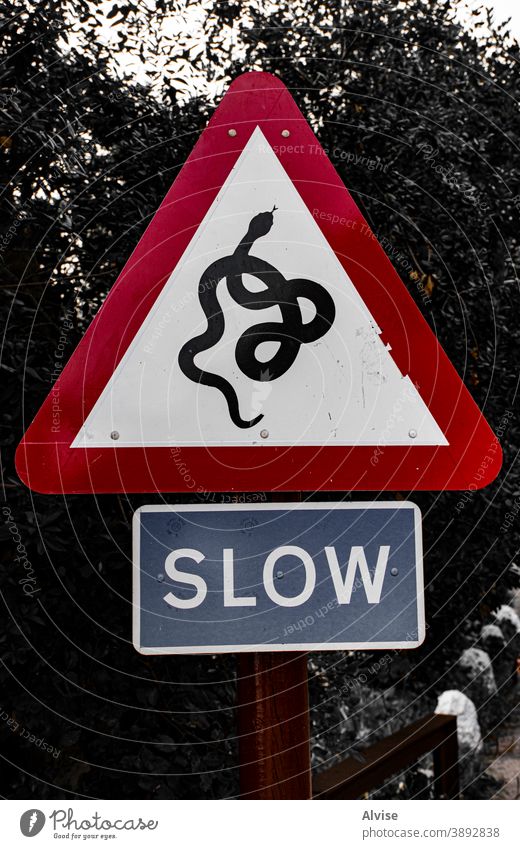 nicht generische Ermahnung auf der Straße Schlange Zeichen Symbol Tierwelt Ikon Design Natur vereinzelt Hintergrund Kunst Kobra weiß Gefahr Reptil Zeichnung