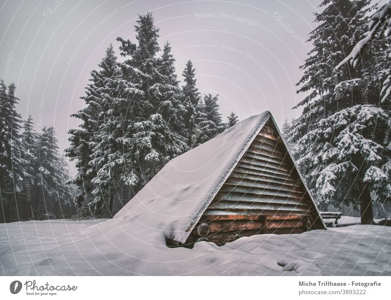 Verschneite Hütte im Thüringer Wald Thüringen Schneekopf verschneit Winter Winterlandschaft Holzhütte Schutzhütte Bäume Himmel Urlaub Landschaft Natur