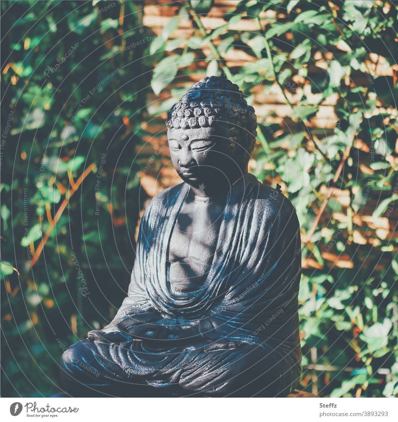Meditation im Herbstgarten Buddha Buddhafigur Buddha Statue meditieren meditierend Sinn besonderes Licht friedliche Stimmung Oktober Stille goldener Oktober