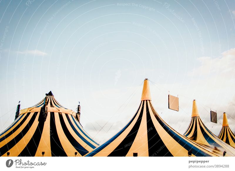 schwarz gelb gestreifte Zelte Zelteingang Dächer Zirkus Zirkuszelt Außenaufnahme Farbfoto Menschenleer Veranstaltung Jahrmarkt Tag Entertainment Show Himmel