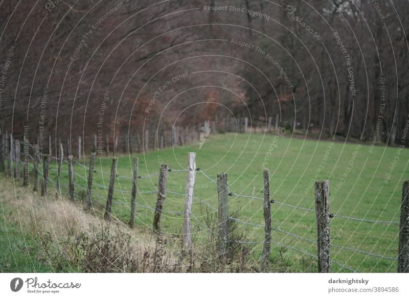 Landschaft mit Zaun aus hölzernen Pfählen mit Draht am Rande einer Weide im Sauerland Elektrozaun Landwirtschaft alte rurale Szene farbige Bänder lebhaft