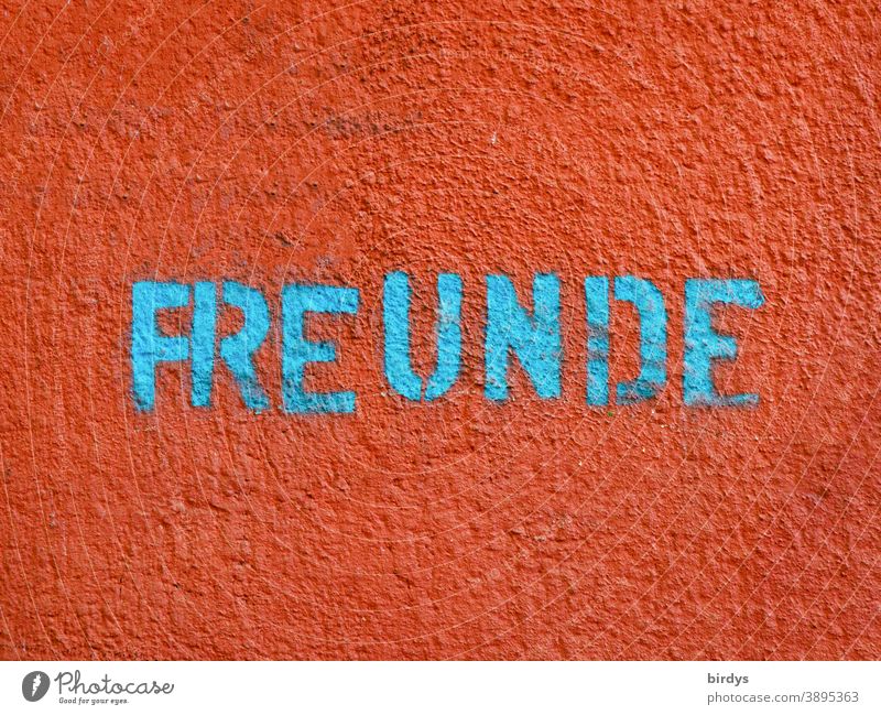 Freunde. türkisblaue Schrift auf rotem Hintergrund. Grafitti , Graffiti auf neutralem Hintergrund freunde freundschaft Beziehung Schriftzeichen Freundschaft
