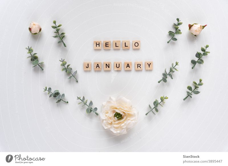 Hallo Januar-Worte auf weißem Marmor-Hintergrund Alphabet Konzept Text Gruß Holz Monat hölzern Nachricht Design Business Zeichen Jahr neu Glück
