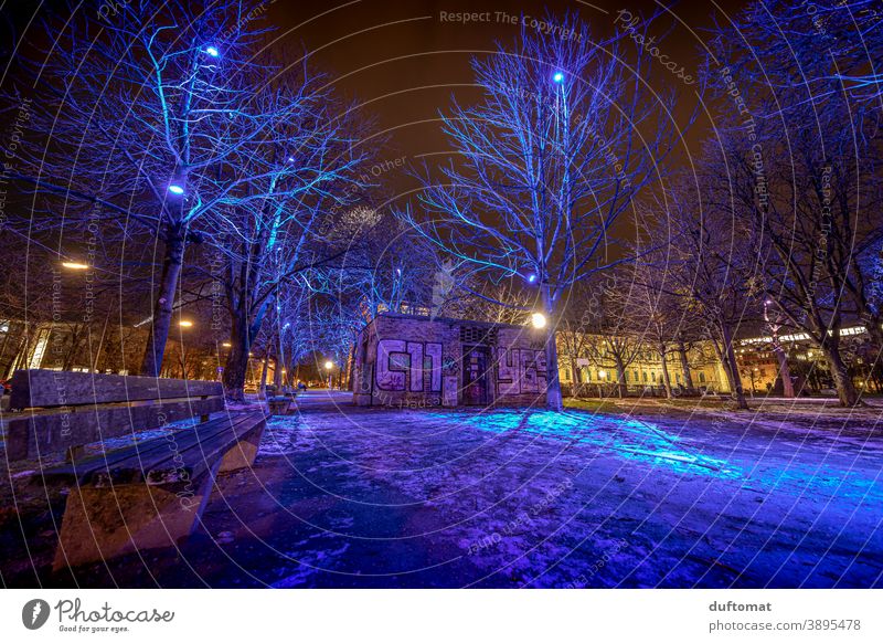 blau beleuchteter Nachtwald mit Parkbank Wald dunkel Abend Himmel Abenddämmerung Illuminiert Urban Landschaft Baum Bäume Graffiti Unterwelt nächtlich Winter