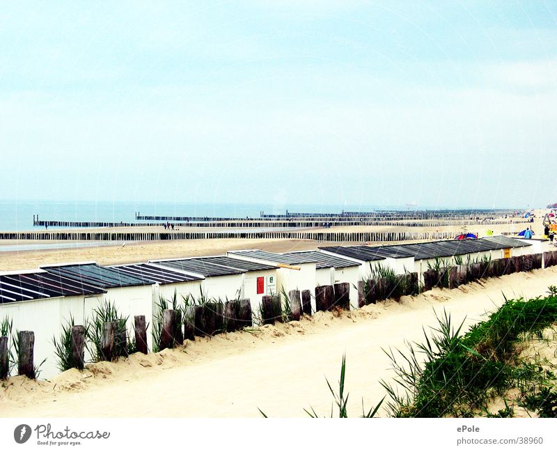Mal die Seele baumeln lassen Niederlande Meer Strand ruhig Erholung NL