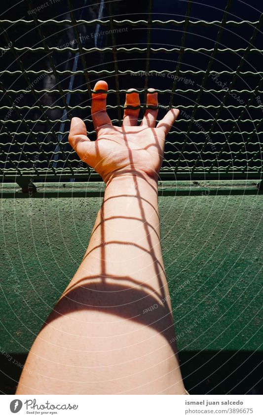 Mann Hand greift nach Metallzaun Zaun Draht Sicherheit metallisch Schutz menschlich Finger Körperteil Person Arme Haut Mensch Außenaufnahme Schatten Handfläche