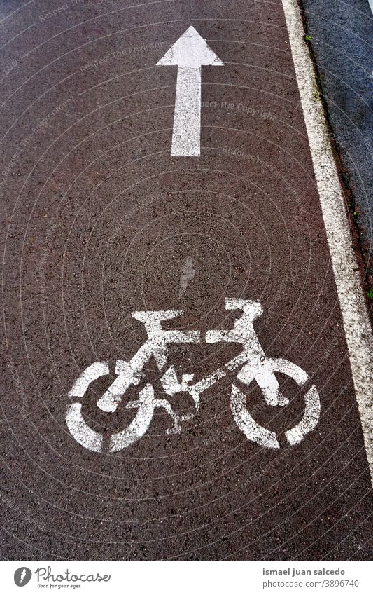 Fahrradschild auf der Straße Ampel Zyklus Fahrradsignal signalisieren Verkehrsgebot Ermahnung Großstadt Verkehrsschild Zeichen Symbol Weg Vorsicht Straßenschild