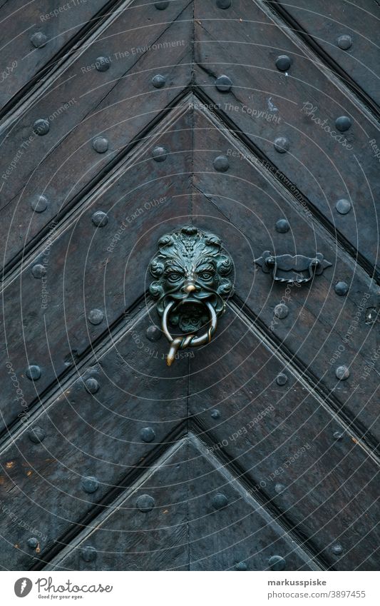 Alte Holzeingangstüre mit Messingbeschlägen Türe Beschläge Motiv Emblem Türöffner vintage retro Mittelalter Fischgrätenmuster Nasenring