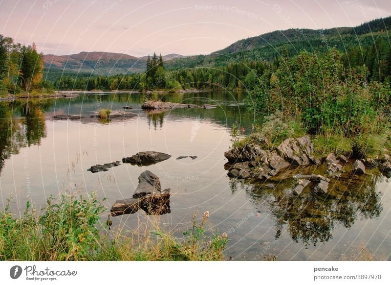 allein, aber nicht einsam Norwegen Landschaft Natur Fjord Felsen Reisen licht Wasser menschenleer Erholung Urlaub Skandinavien Ferien & Urlaub & Reisen