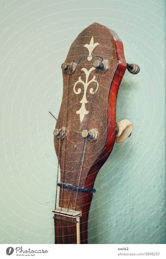 Verstaubtes Banjo Kopf Musikinstrument Zupfinstrument Kultur Freizeit & Hobby Kunst Klang Saiteninstrument musizieren Detailaufnahme Wirbel Sattel Bundstab Holz