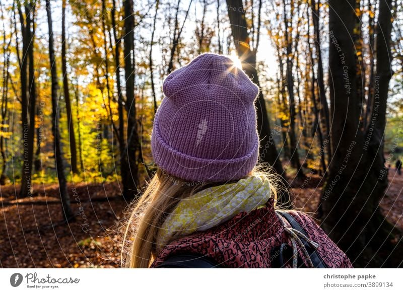 Frau mit Mütze beim Spaziergang im herbstlichen Wald Herbst Gegenlicht Sonnenlicht kalt Außenaufnahme Rückansicht Mensch Baum Erwachsene Landschaft Farbfoto Tag
